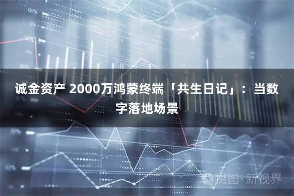 诚金资产 2000万鸿蒙终端「共生日记」：当数字落地场景