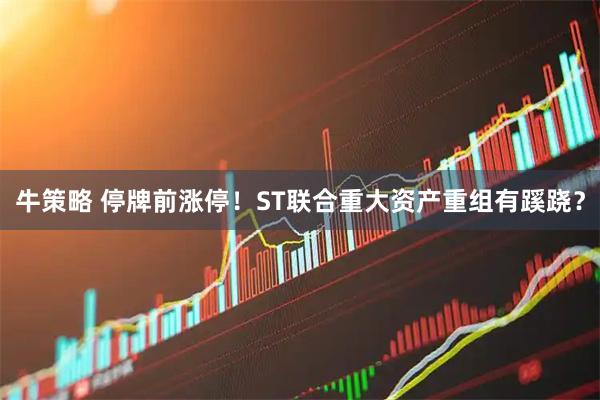 牛策略 停牌前涨停！ST联合重大资产重组有蹊跷？